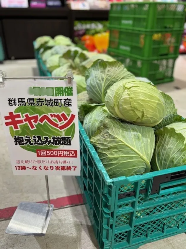 群馬県産のキャベツをご用意