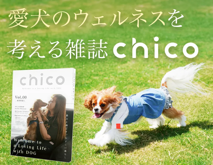 『chico』創刊準備号