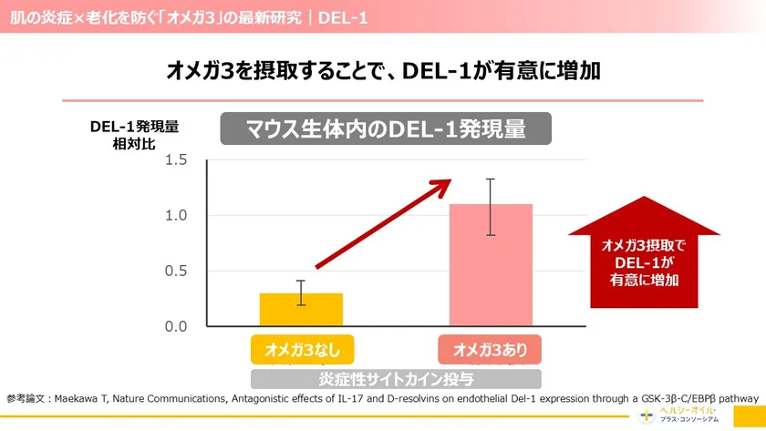 肌の炎症×老化を防ぐ「オメガ3」の最新研究(1)