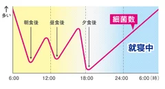 図：唾液中の菌数推移