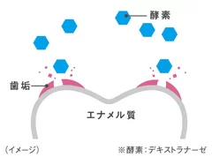 図2：酵素図