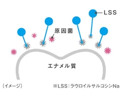 図4：LSS図