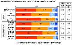 愛猫に対する気持ち