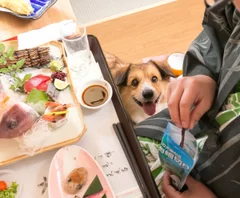 お部屋食風景