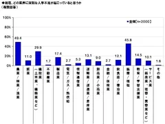 人材不足が深刻と思う業界