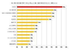 図6：外国人が驚いた暑さ対策