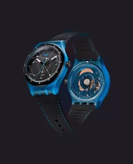 SISTEM BLUE