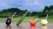 『高性能爆薬でつくる野菜ジュース』WEBサイトイメージ