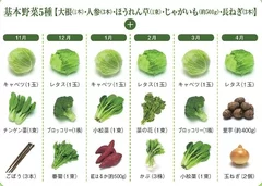 野菜頒布会コース一覧