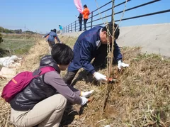 今年初めて実施した、福島県南相馬市での桜の植樹の様子