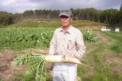 現場で取材した情報をお伝えします