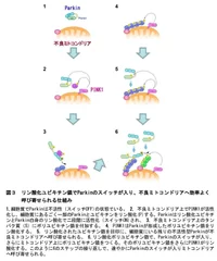 図3