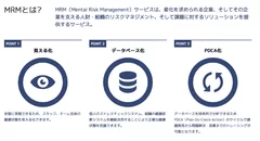 MRMとは？