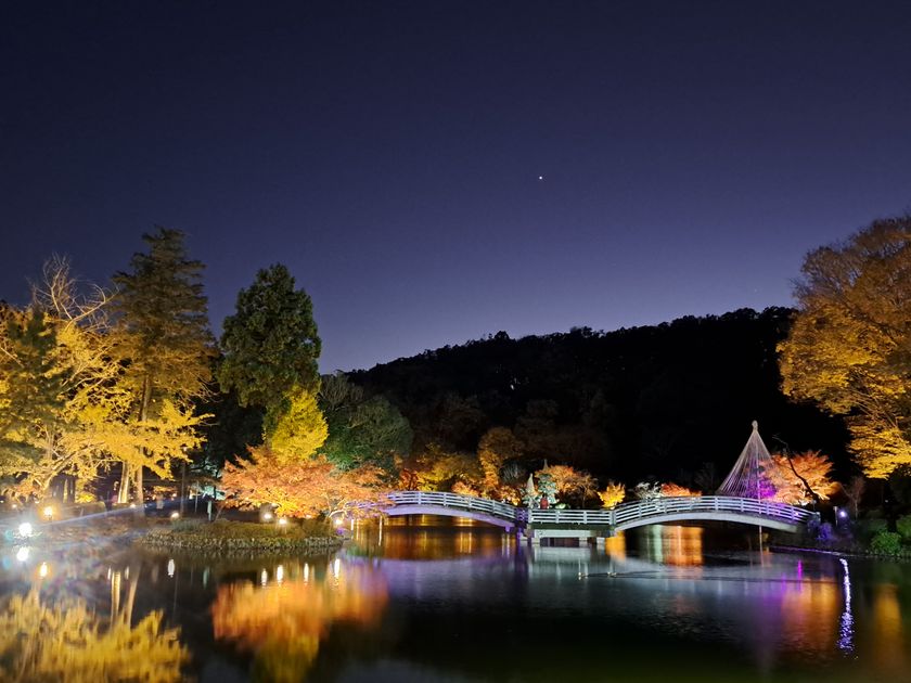 東京・町田市「秋遊び2025」開催中!
~秋の夜を彩る、幻想的な雲海と紅葉ライトアップ~