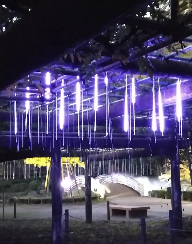 藤棚にLED電球でフジの花を再現