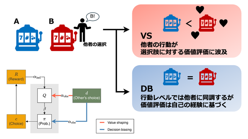 集団が急激な環境変化に柔軟に対応できるための
認知・行動メカニズムを理論的に解明