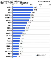 理想のセカンドライフ