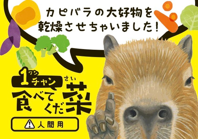 カピバラの大好物の野菜をそのまま乾燥
赤ちゃん誕生で話題の竹島水族館に“人も食べられる”新土産が登場