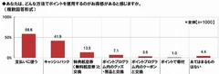 お得感があるpt使用