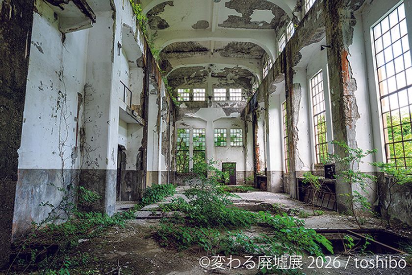 息をのむ美しさ!“廃墟”をアート作品として昇華
11周年を迎える「変わる廃墟展 2026」2/27(金)~東京で開催