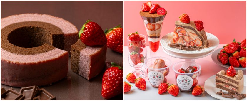 <いちご専門店の道の駅 いちごBonBonBERRY>
累計7万個突破!「いちごのバウムクーヘン」に
ショコラの味わいが2/1より新登場!
「静岡県産いちごととろけるショコラフェア」も同時開催中