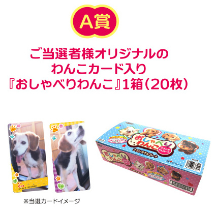 愛犬をプリントしたカード入りチョコ1箱がもらえる！クランチチョコ