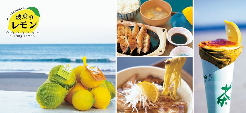 『道の駅そらっと牧之原』に牧之原市の新たな特産品
“波乗りレモン”の波が遂に到来!
「波乗りレモンフェア」を2/7~23で開催!
期間限定の爽やかな味わいをご提供