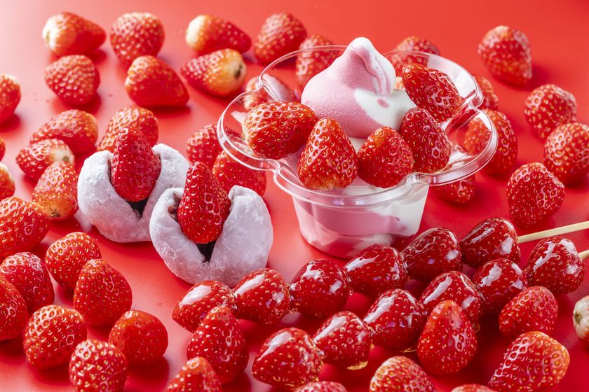 【2/20(金)から】ビル一棟まるごといちごスイーツ専門店より
「静岡いちごの収穫祭」を2/20より初開催!