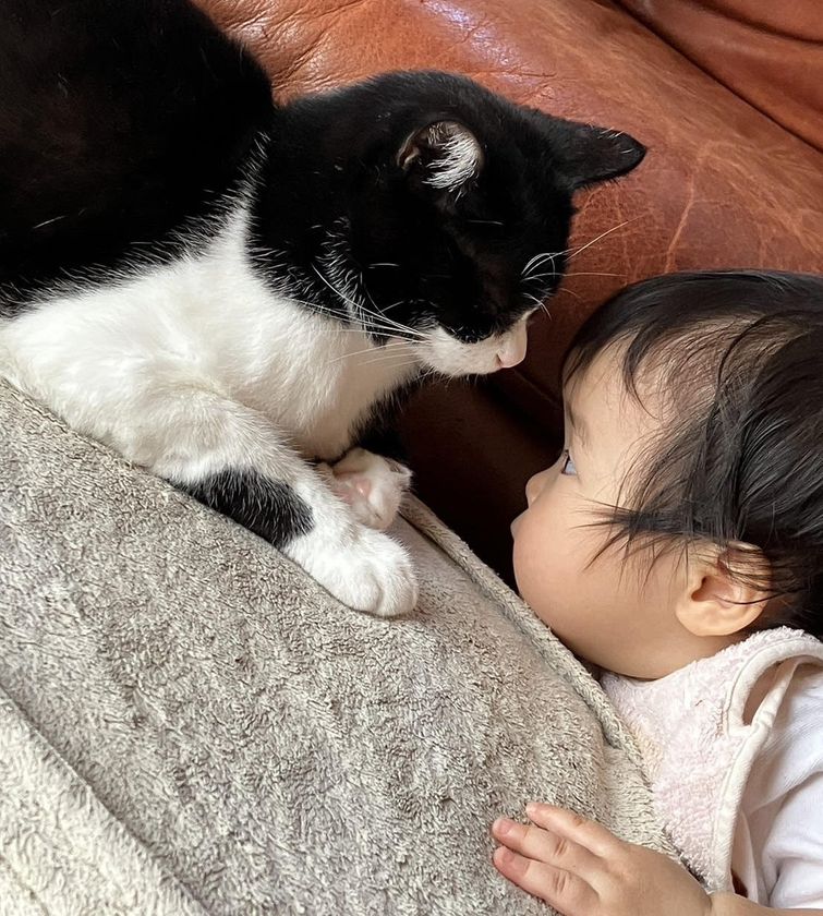 2月22日は「猫の日」。「猫ひっかき病」をご存じですか?
安心して猫と暮らすため「迅速検査キット」開発に山口大学が挑戦