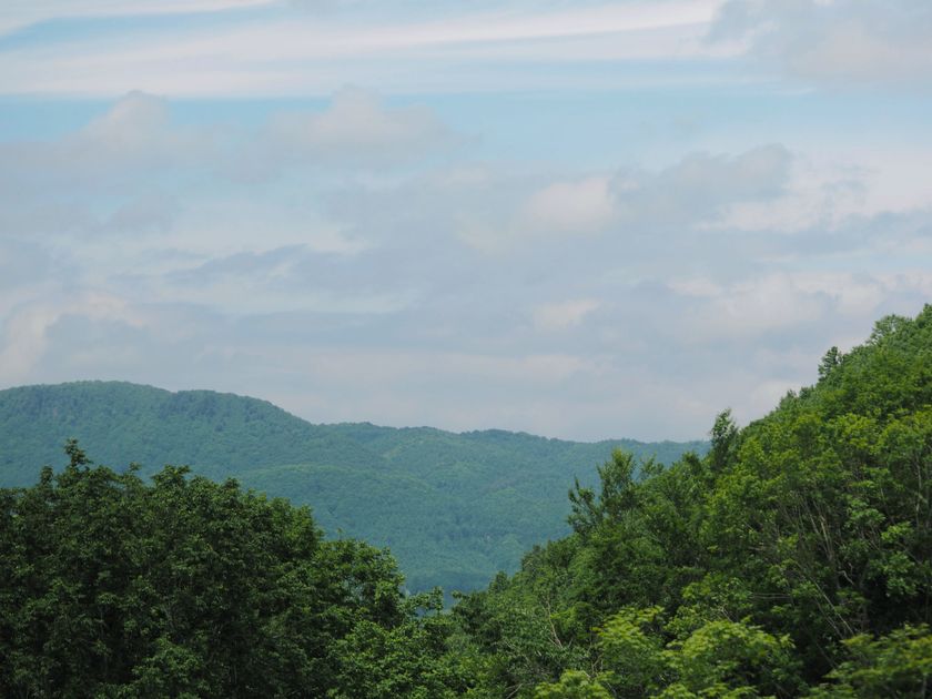 和精油の未来を拓く「日本の香りを世界へ」プロジェクト始動
香り日本研究会、国際会議「AAC-AAIC 2026 KOREA」へ出展