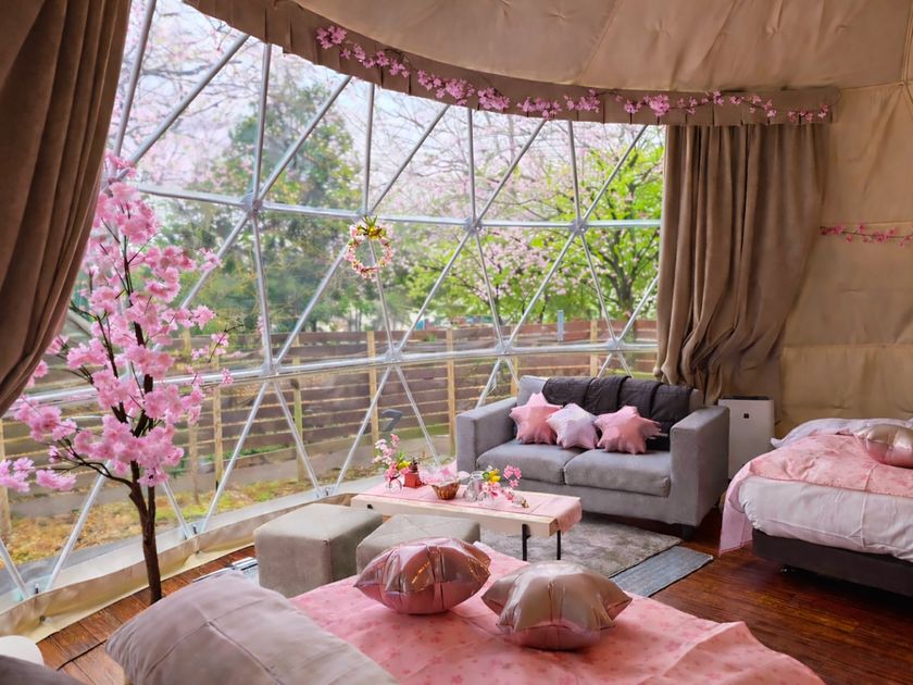 <1日1棟限定> 花粉・寒さゼロの
「インドアお花見」×「夜桜BBQ」でW満喫!
ブリリアントヴィレッジ日光、春限定プランを
3/9より期間限定スタート