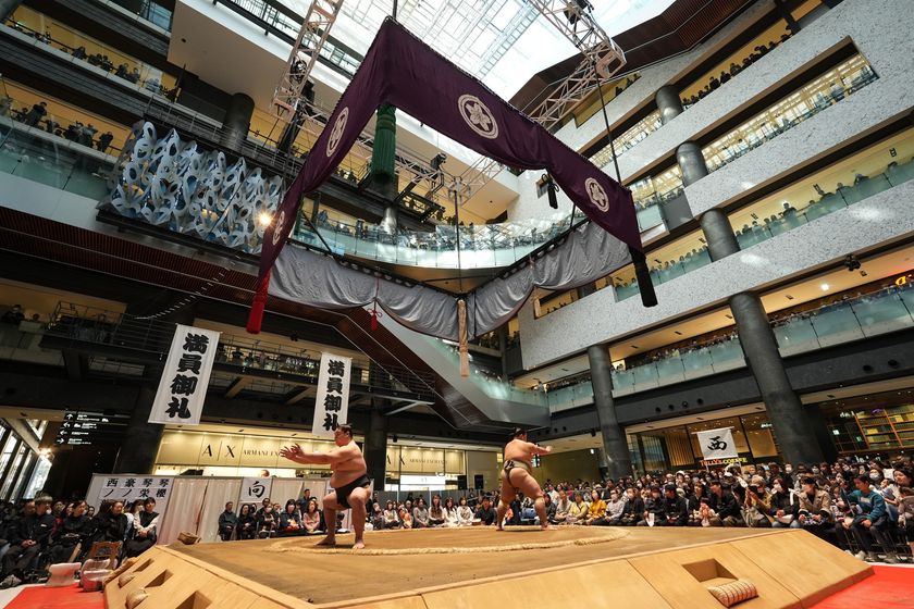 過去最高の当選倍率約64倍!
年々人気が高まる都市型相撲イベント
「春がキタ!うめきた場所 in グランフロント大阪2026」を開催