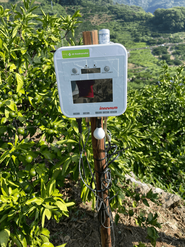 愛媛県のかんきつ栽培で収量1.3倍を達成
~e-kakashi Naviをリニューアルし
プロジェクトの成果である農業用LLMと
土壌水分AI予測機能を提供開始~