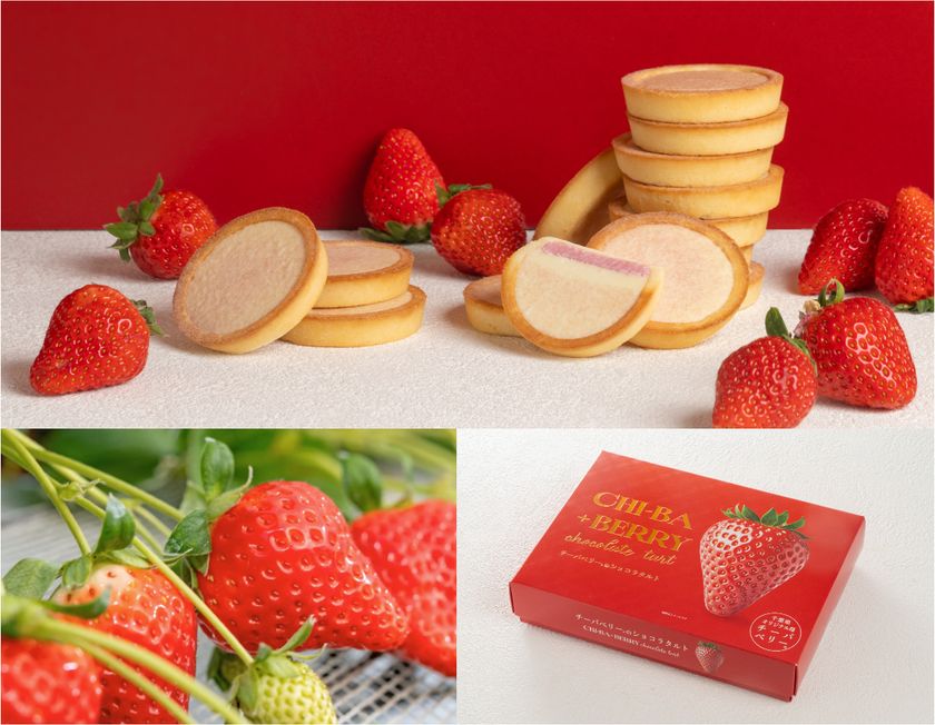 10年かけて誕生したいちご「チーバベリー」をつかった
甘酸っぱい苺が紡ぐ千葉の新商品!
― 「チーバベリーショコラタルト」2026年3月6日新発売 ―