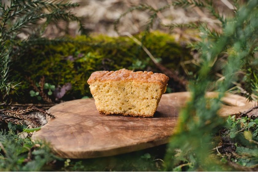 mozo ワンダーシティ「根羽の木のパウンドケーキ」
配布イベント開催
― 食べることで、森とつながる mozo action ―