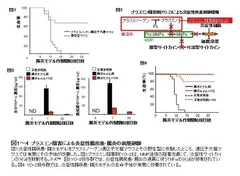 図1、2、3、4