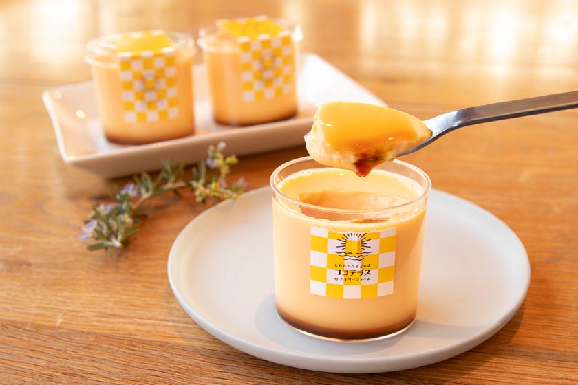 いよいよ4/21ココテラスの丘いいねマルシェ店オープン
【4/21・22限定】税込3,000円以上購入で
先着100名様に卵プレゼント!
年間16万人が訪れる「ココテラスの丘」が名古屋初上陸!