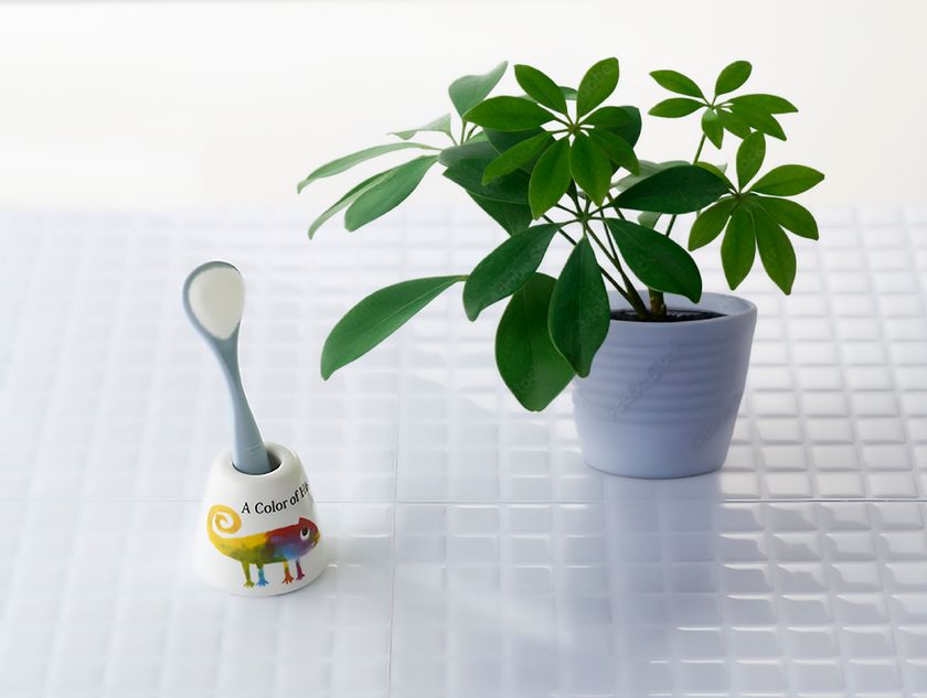 新学期から、新しい口腔ケア習慣を!
将来の健康につながる、
子供の舌の成長についても考えてみませんか?
小学校の6年間は舌の発達において最も重要な時期