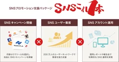 「SNSこれ1本」イメージ