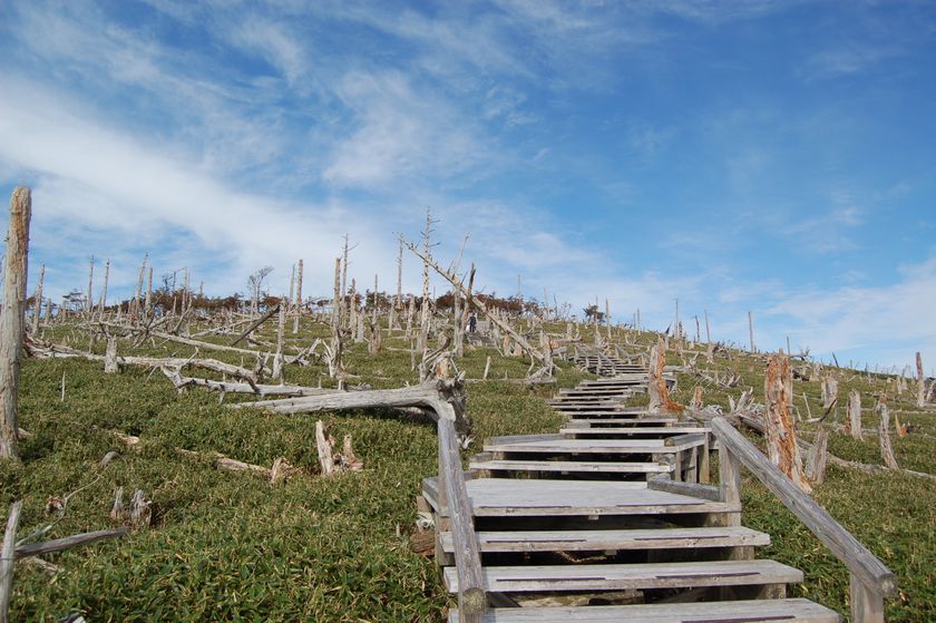 「大台ヶ原直通バス そらかぜ」
事前予約制化&ラッピング実施&乗車特典配布