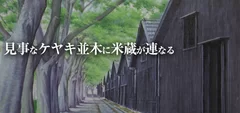 見事なケヤキ並木に米蔵が連なる