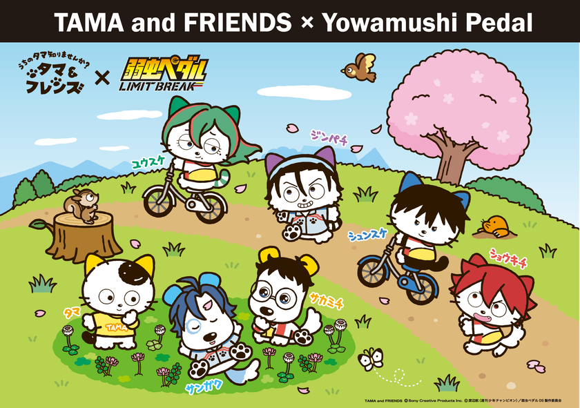 仲間と走り、青春を駆け抜けるあの作品とコラボ!
『タマ&フレンズ』×『弱虫ペダル』
―3月27日(金)からコラボグッズ発売開始!―