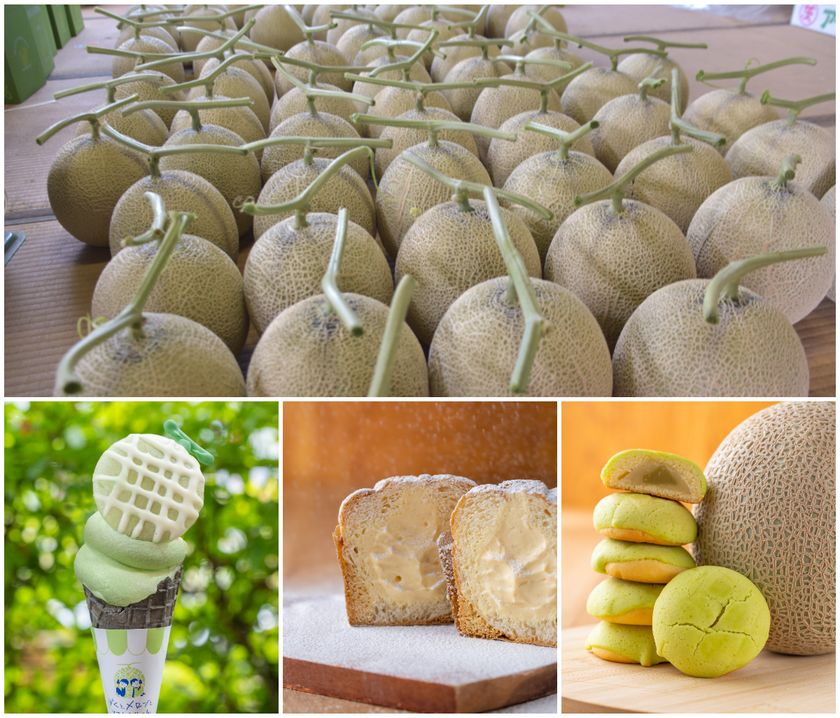 <茨城>日本一のメロン産地から、今年最初のひと玉を
道の駅常総にメロンの季節がやってきた!
4/11よりメロンの販売を開始