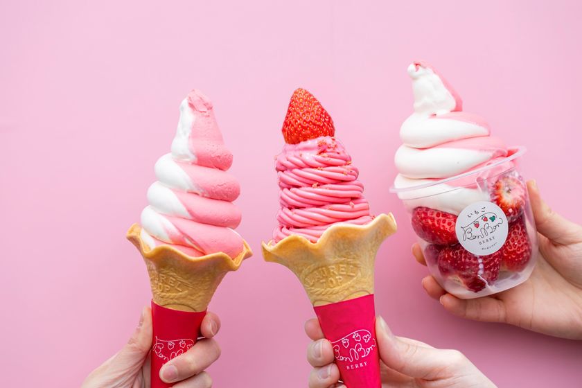 <いちご専門店の道の駅 いちごBonBonBERRY>
4月15日(水)から、オープン以来大人気の
ソフトクリーム・ドリンクメニューを全面リニューアル!