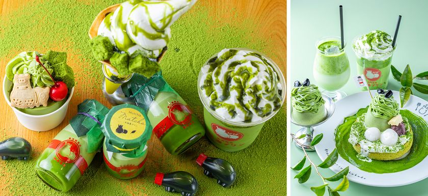 【熱海プリン×丸七製茶】待望のコラボ第5弾!
静岡抹茶を愉しみ味わい尽くす『むっちゃ抹茶フェア』を
4/11よりスタート!