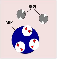 (1)薬剤分子の形をMIPに記憶させる