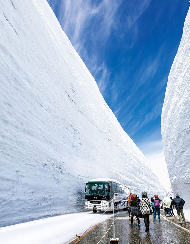 「立山黒部アルペンルート」、4月15日(水)全線開通
春の絶景「雪の大谷」の高さは12mに!