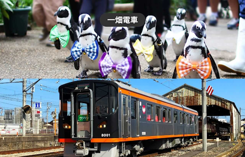 出雲大社観光に便利 一畑電車が1日乗り放題
松江フォーゲルパーク入園券付き乗車券を
モバイルチケットで販売開始