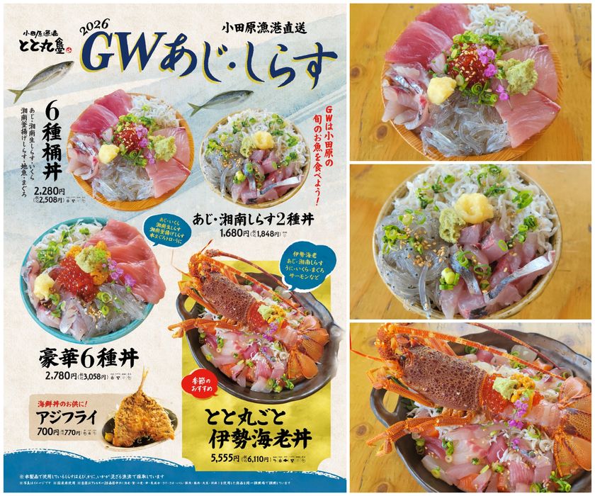 GW限定「あじ・しらすフェア」開催!
小田原漁港直送!旬のアジと湘南しらすを堪能できる
豪華海鮮丼や伊勢海老丼など期間限定メニューが登場