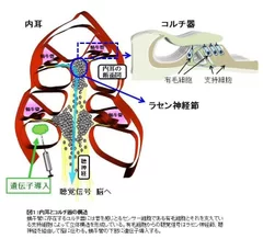 図1